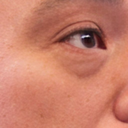 CodeFormer detail crop 1