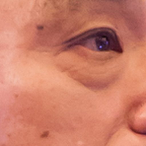 Ground-truth detail crop 1