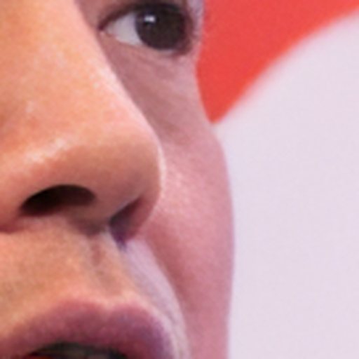 CodeFormer detail crop 2