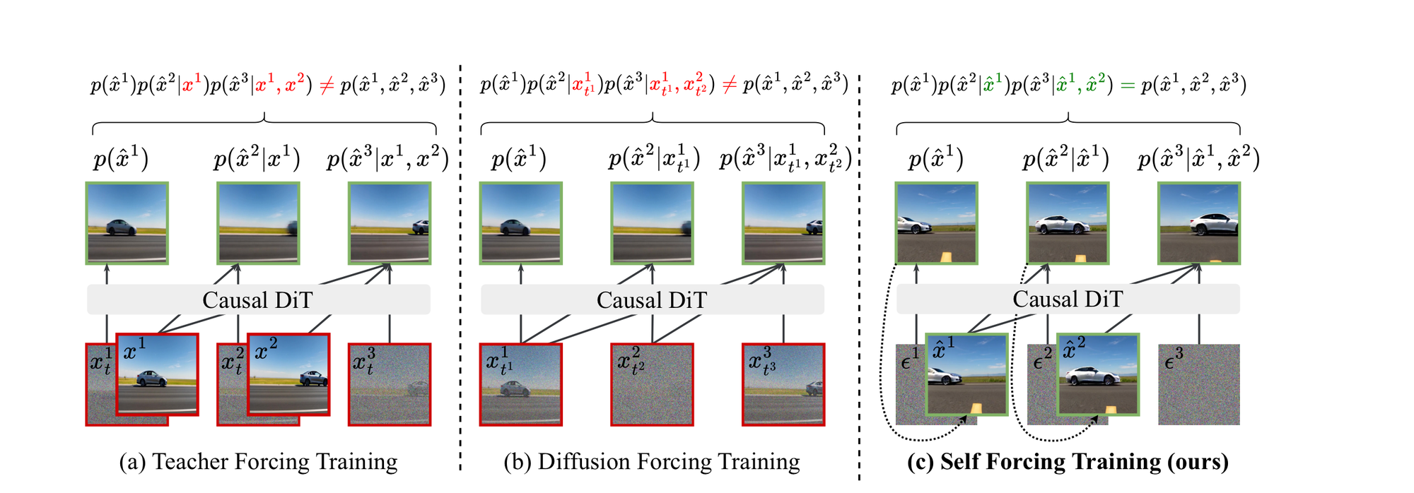 Self Forcing training paradigms