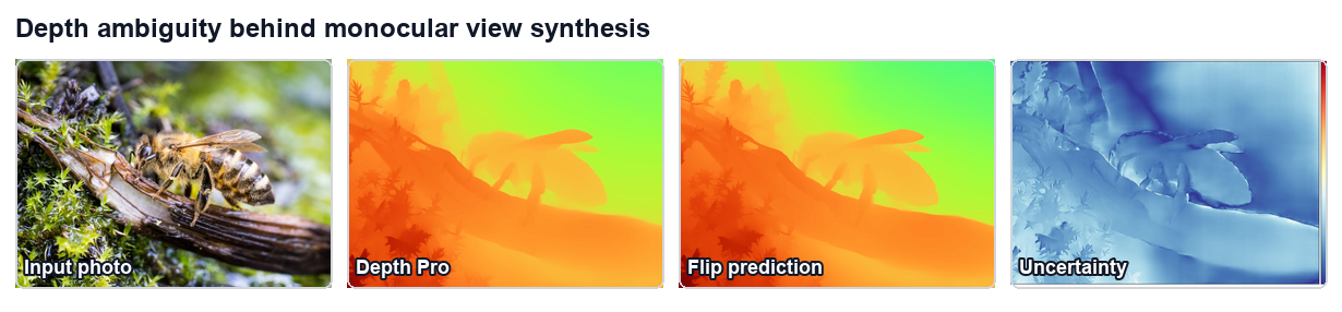 Depth ambiguity