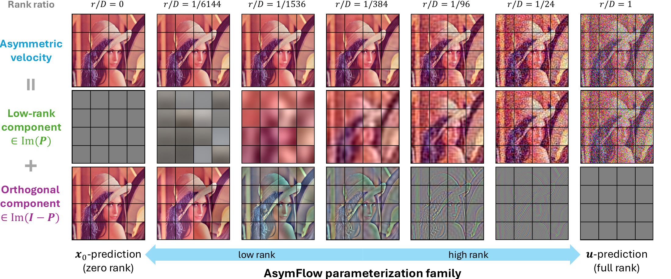 AsymFlow parameterization family