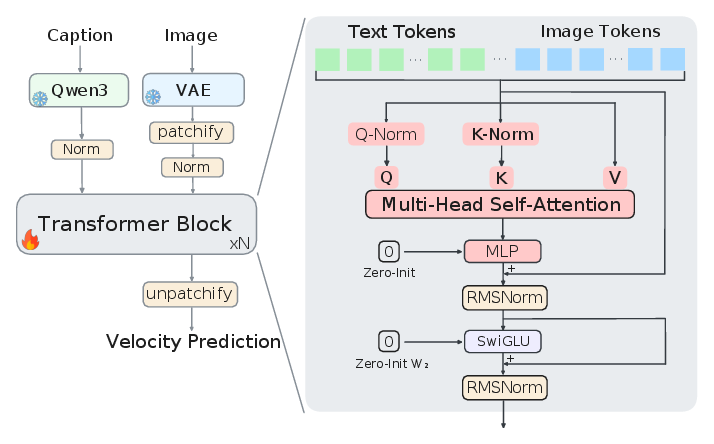 Backbone architecture