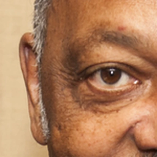 Ground-truth eye detail
